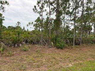 12141 MC ELROY AVE Property Photo 1