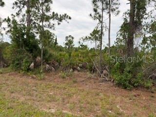 12141 Mc Elroy Ave Property Photo 2