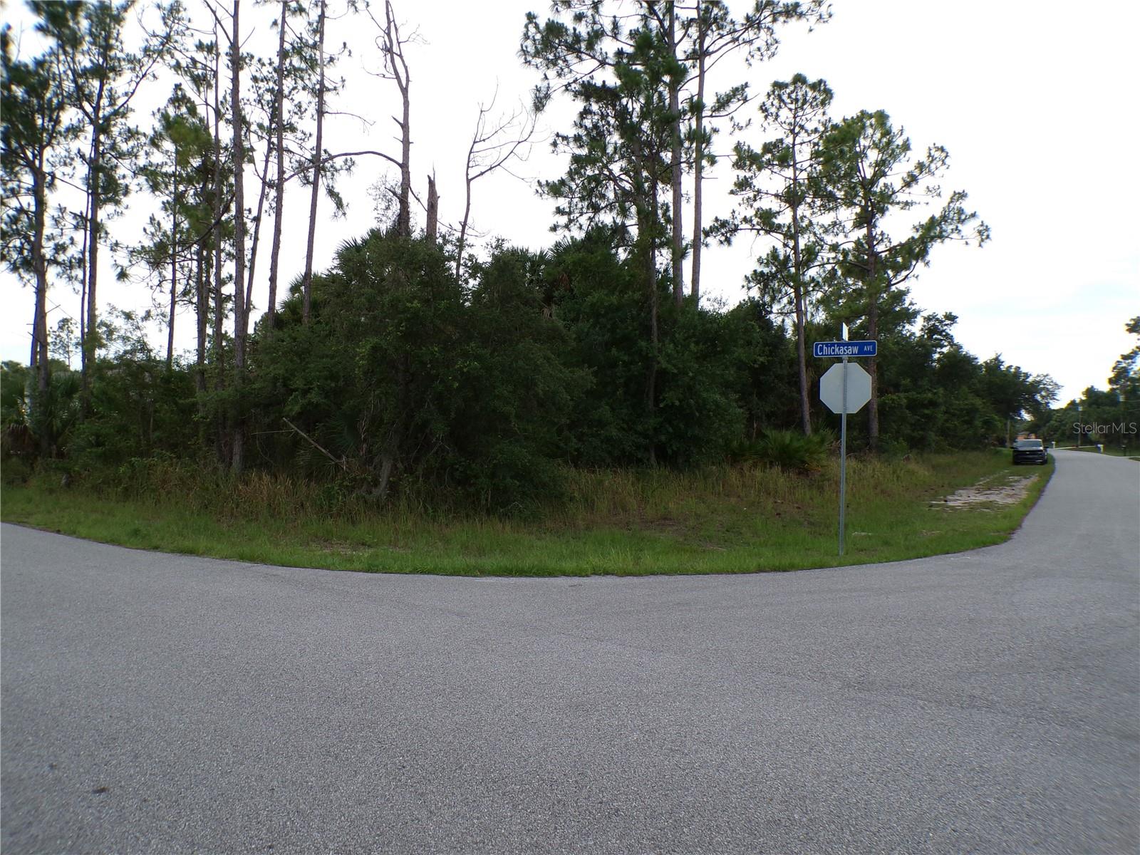 CHICKASAW AVE Property Photo 1