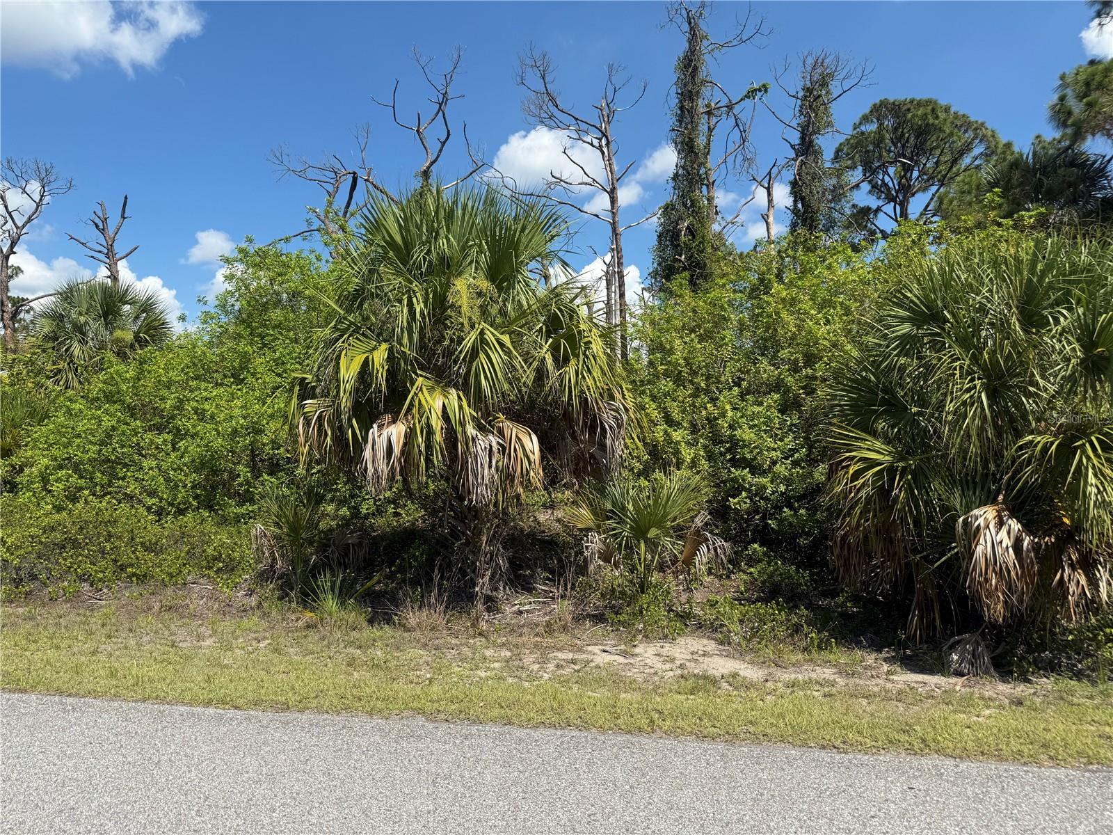 Fairlane Dr Property Photo 1