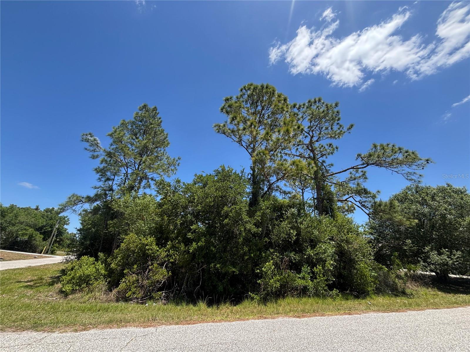 Lot #3 Towhlen Rd Property Photo 4