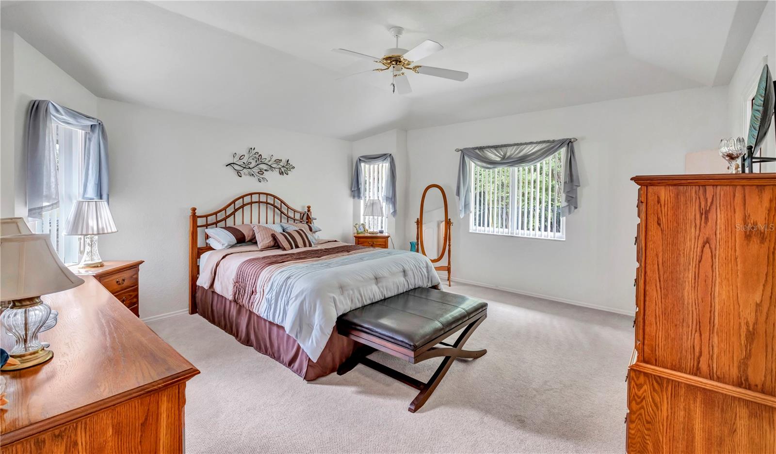 7360 N Ficus Tree Property Photo 8