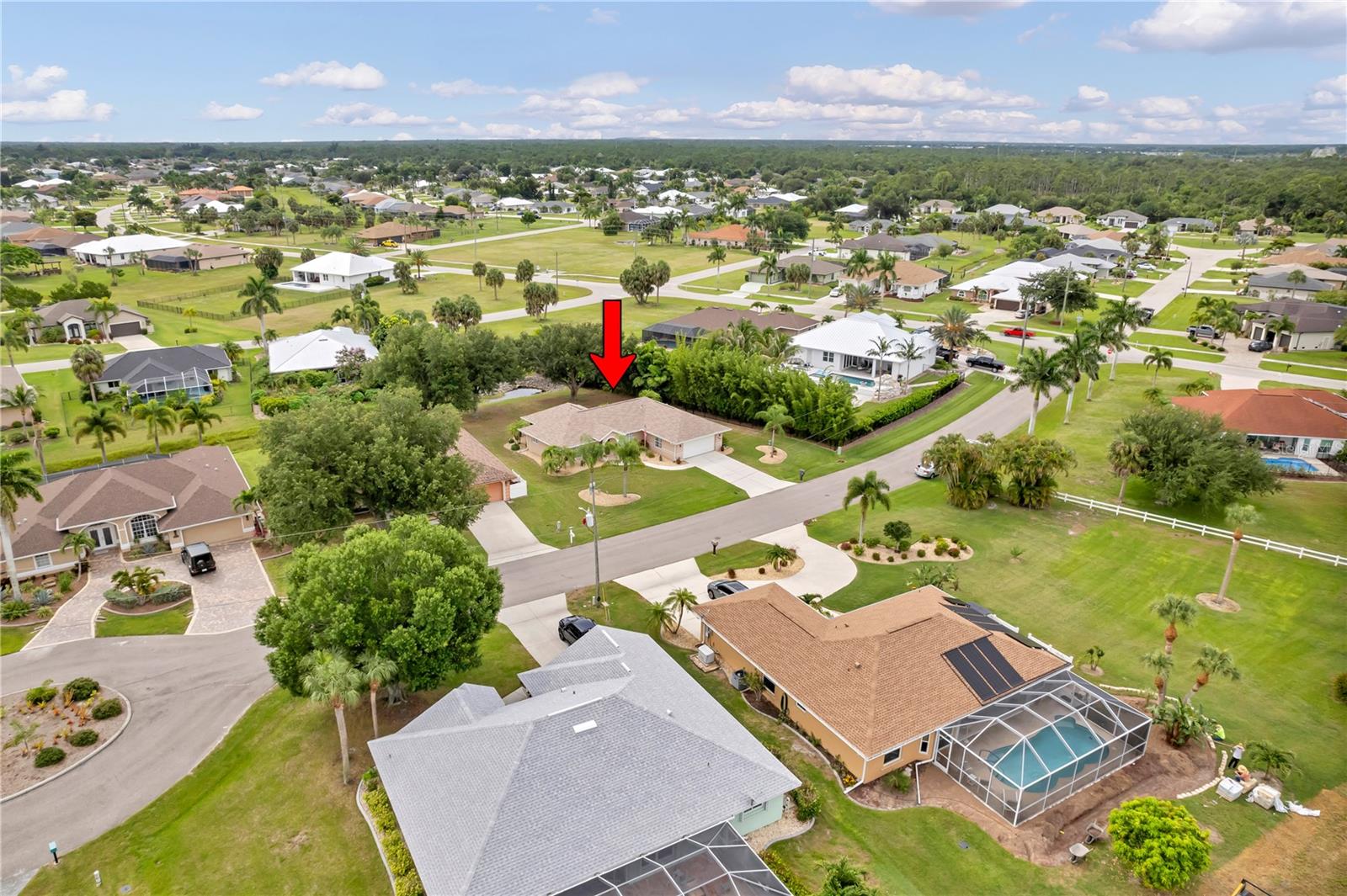 7360 N Ficus Tree Property Photo 22