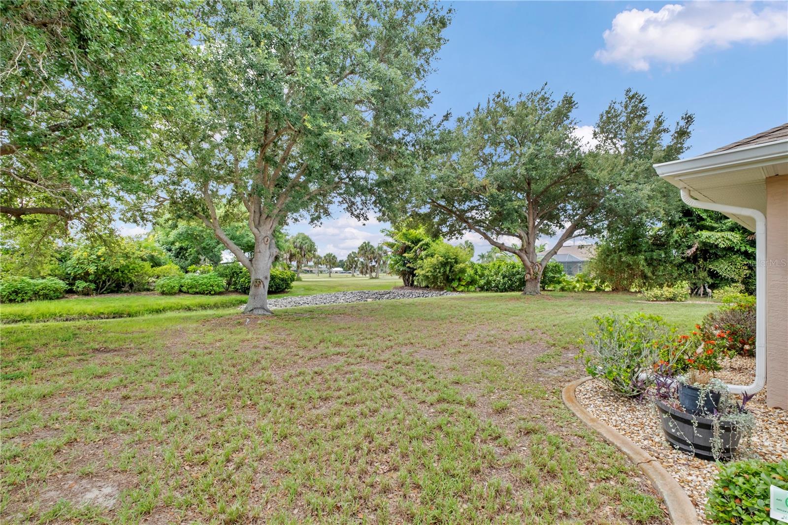 7360 N Ficus Tree Property Photo 29