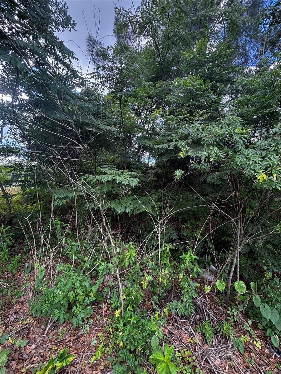 Lee St Property Photo 2