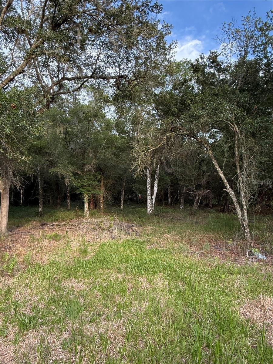 Se Brown Rd Property Photo 5