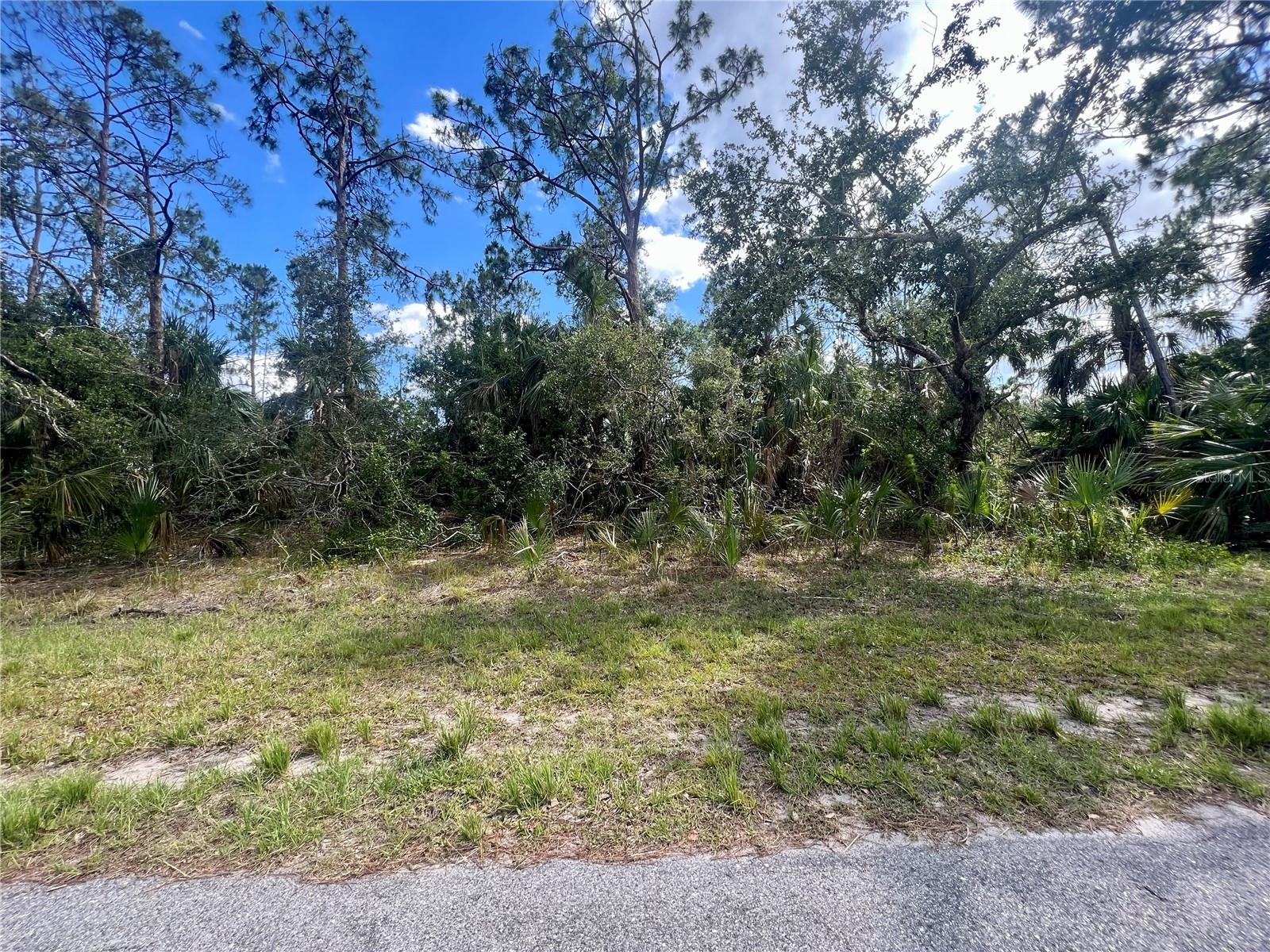 VIZZA LN Property Photo 1