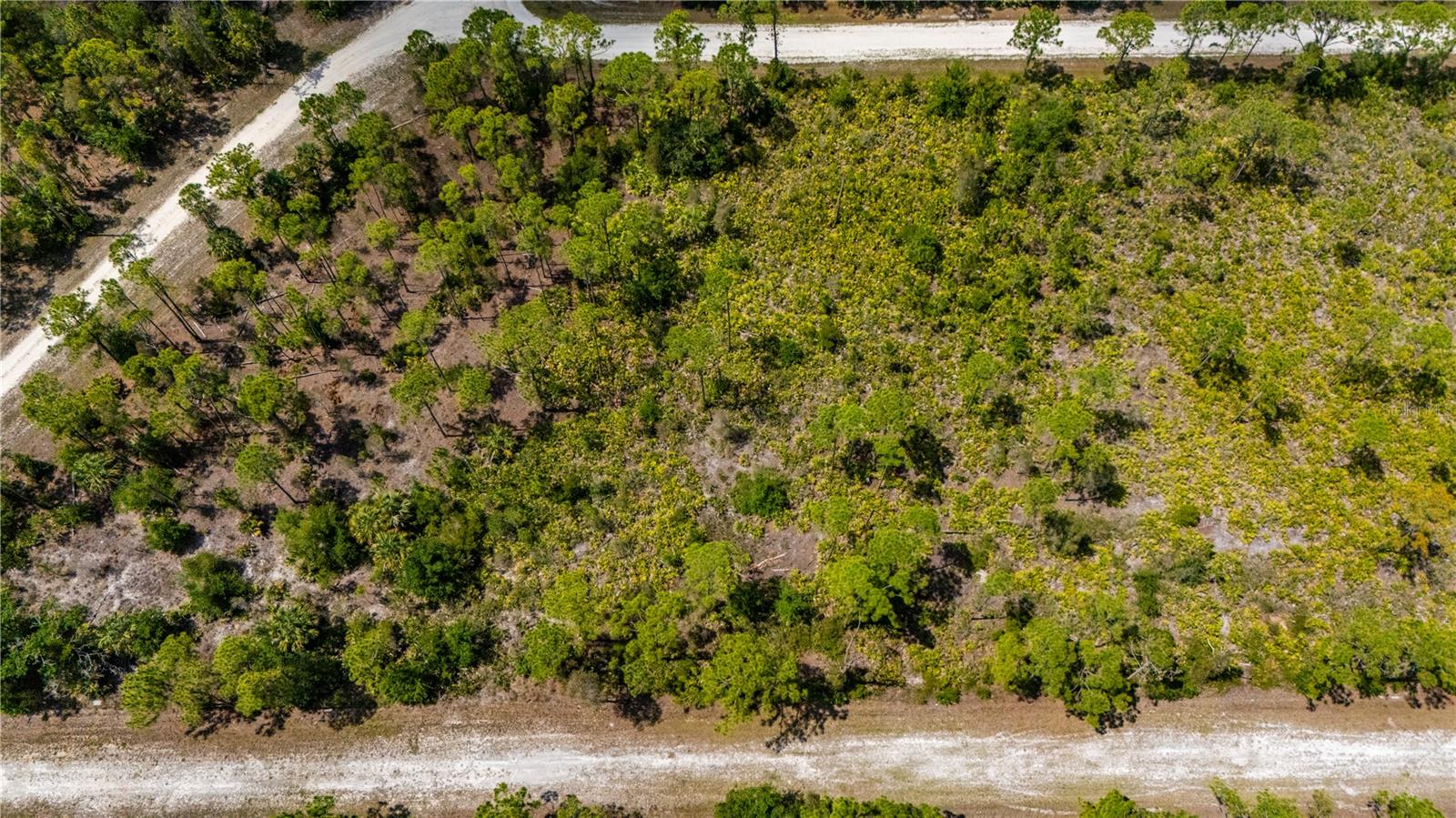 27115 Lacoquina Dr Property Photo 14