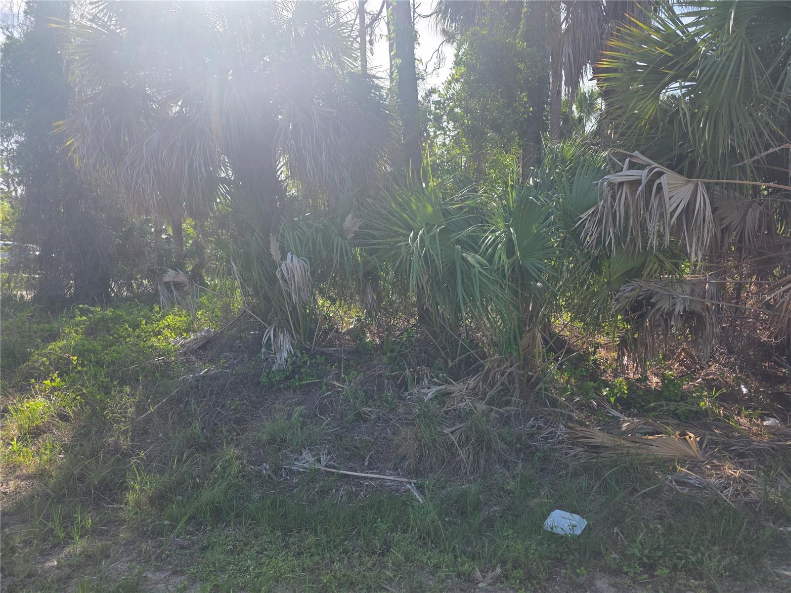 Prime Ter Property Photo 1