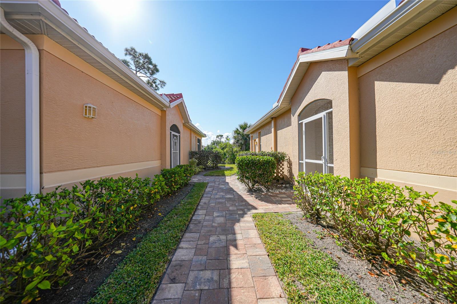 3810 Cobia Villas Ct Property Photo 2