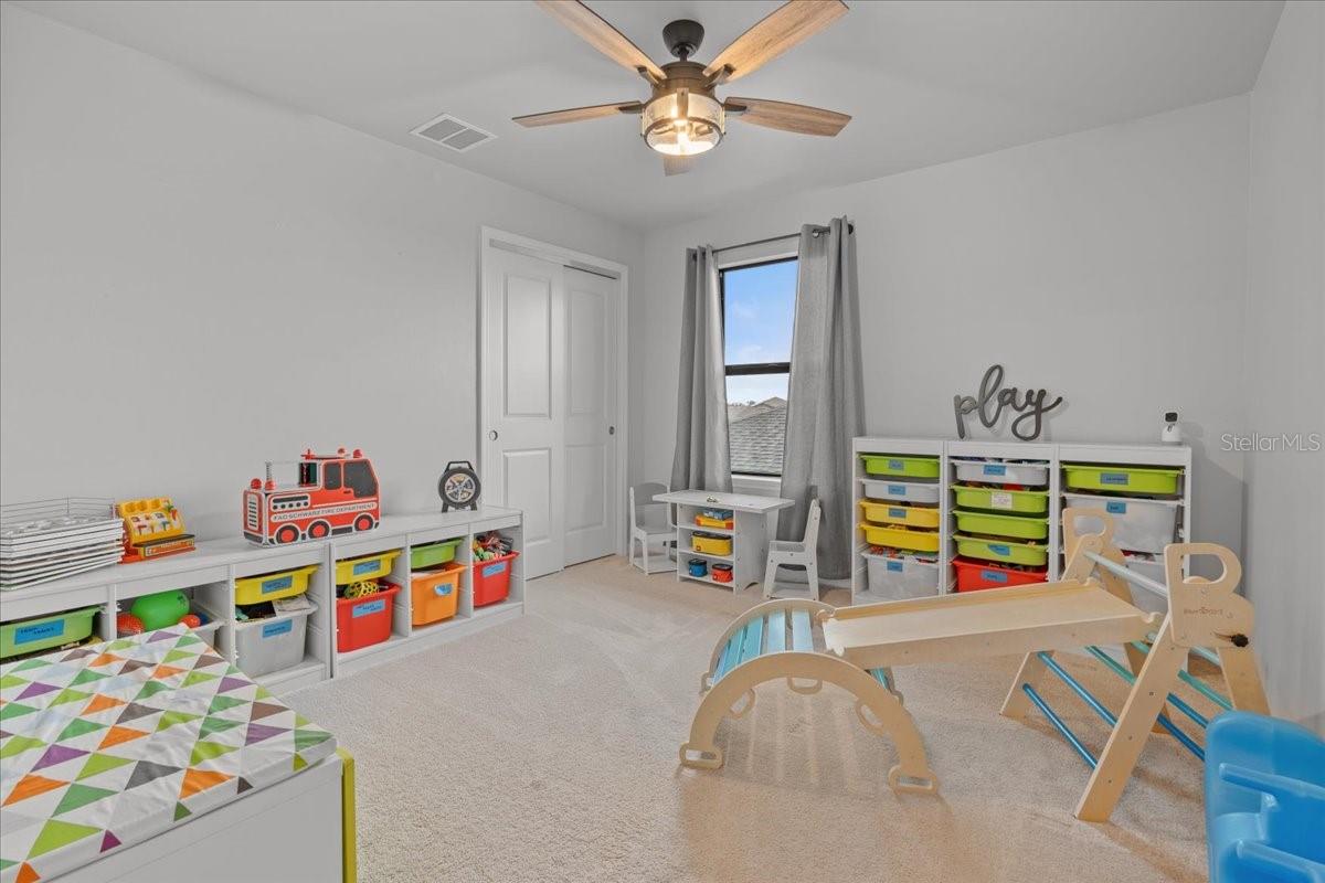 2596 Buckthorn Loop Property Photo 45