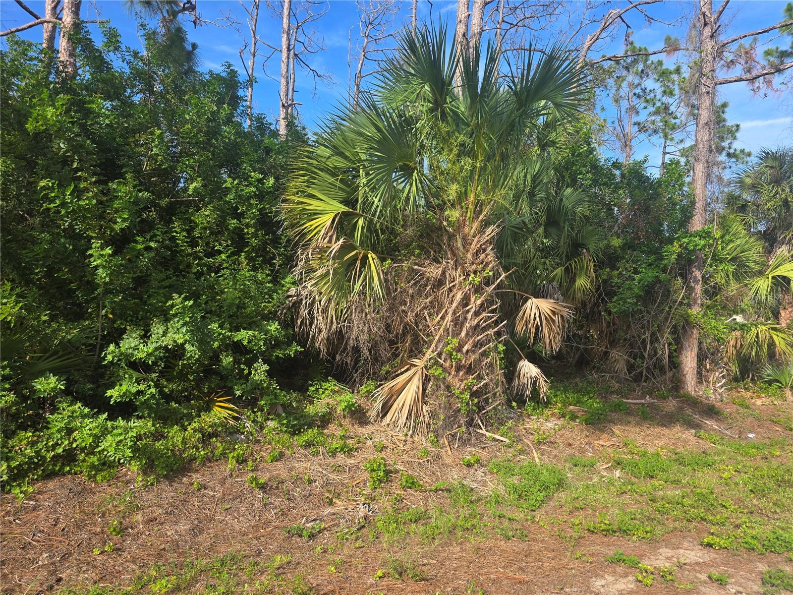 Pronto Ln Property Photo 1