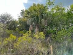 50530 Bermont Rd Property Photo 9