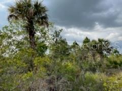 50530 Bermont Rd Property Photo 11