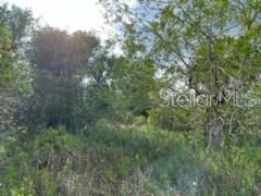 50530 Bermont Rd Property Photo 13