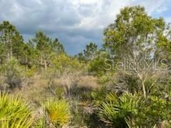 50530 Bermont Rd Property Photo 15
