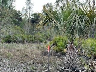 50530 Bermont Rd Property Photo 18