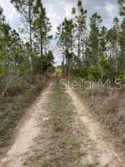 50530 Bermont Rd Property Photo 19