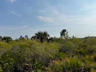 50530 Bermont Rd Property Photo 21