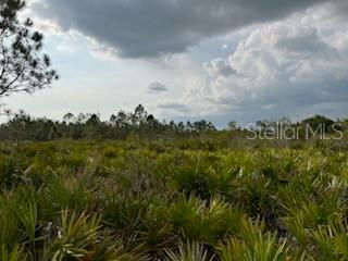 50530 Bermont Rd Property Photo 23