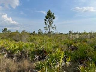 50530 Bermont Rd Property Photo 24