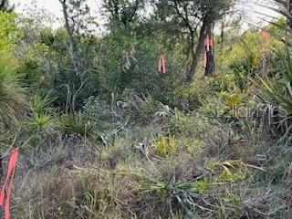 50530 Bermont Rd Property Photo 25