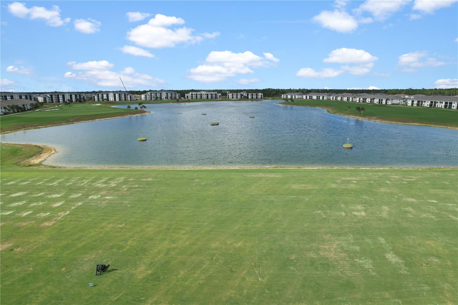 15860 Cranes Marsh Ct Property Photo 46