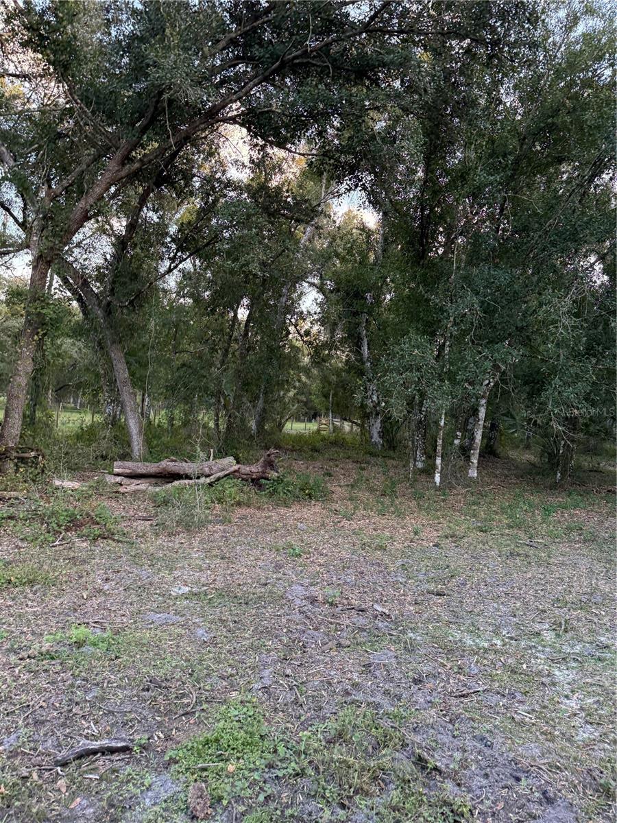 Se Brown Rd Property Photo 9