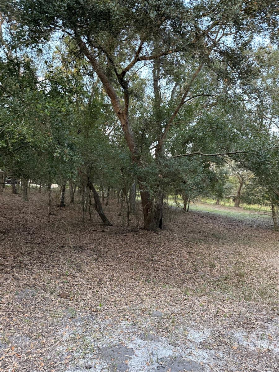 Se Brown Rd Property Photo 11
