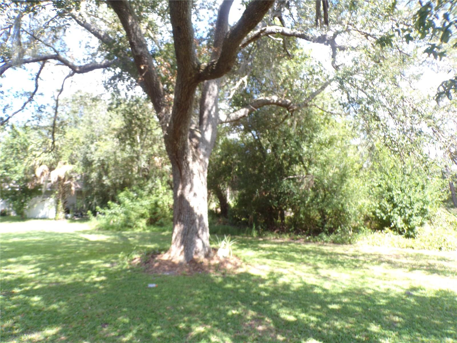 1088 Melville Rd #a Property Photo 22