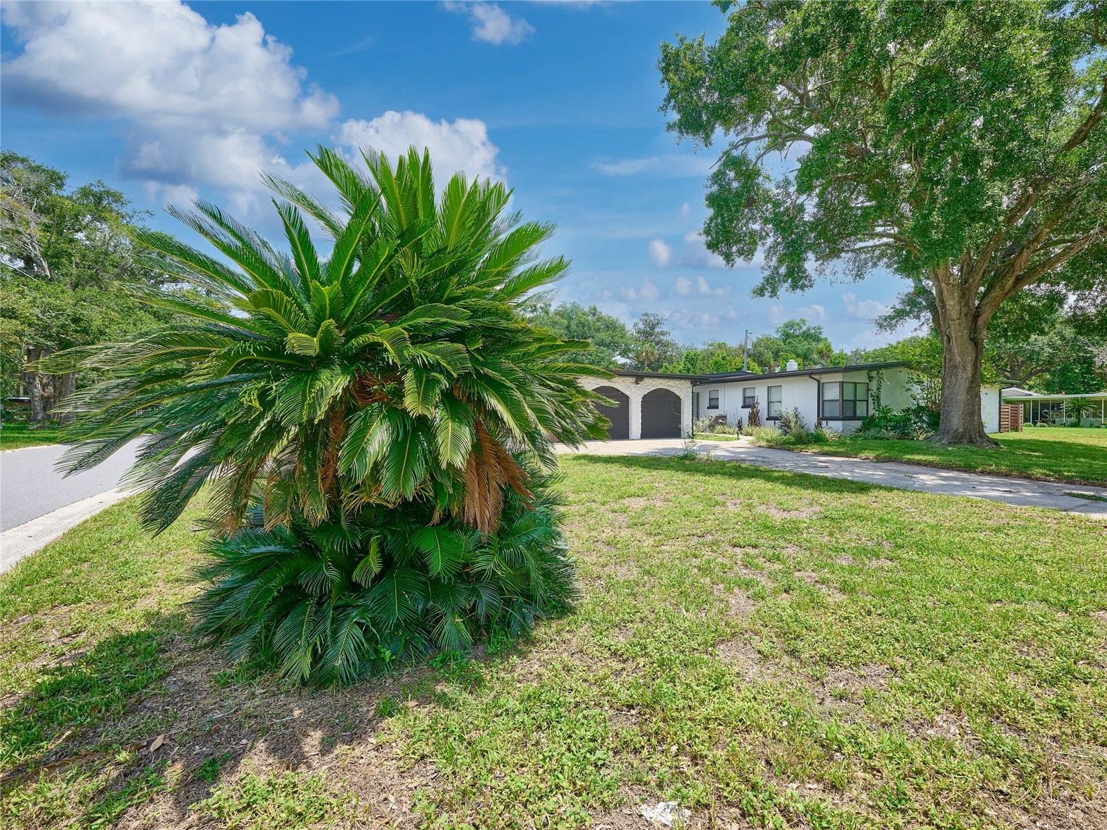 1100 Cornell Dr Property Photo 6