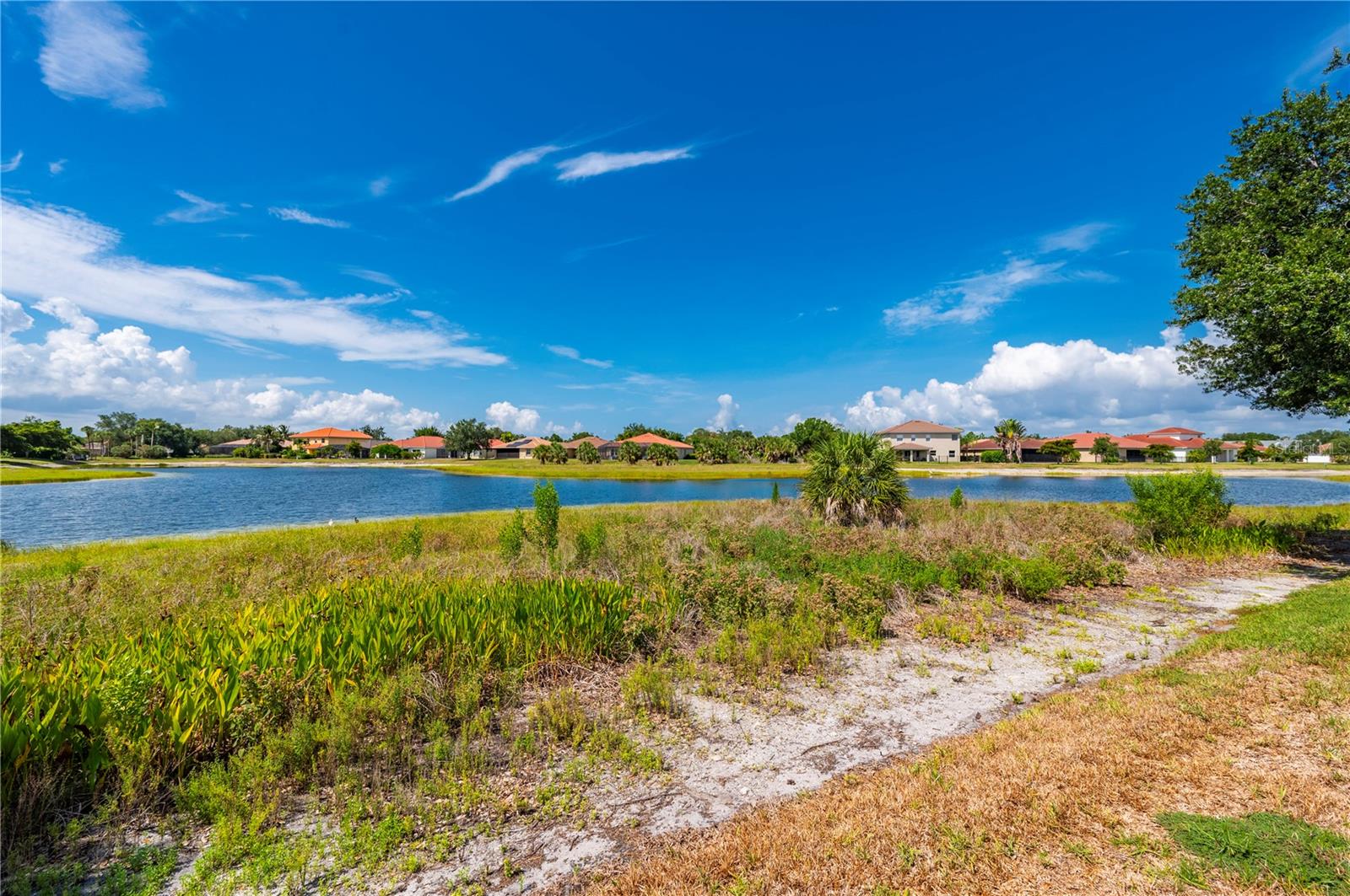 24311 Riverfront Dr Property Photo 50