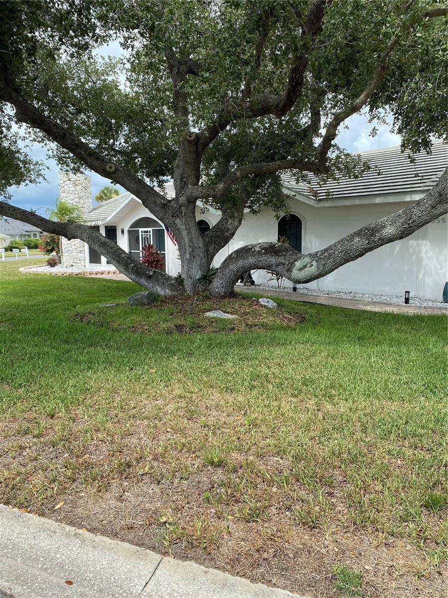 355 Eden Dr Property Photo 3