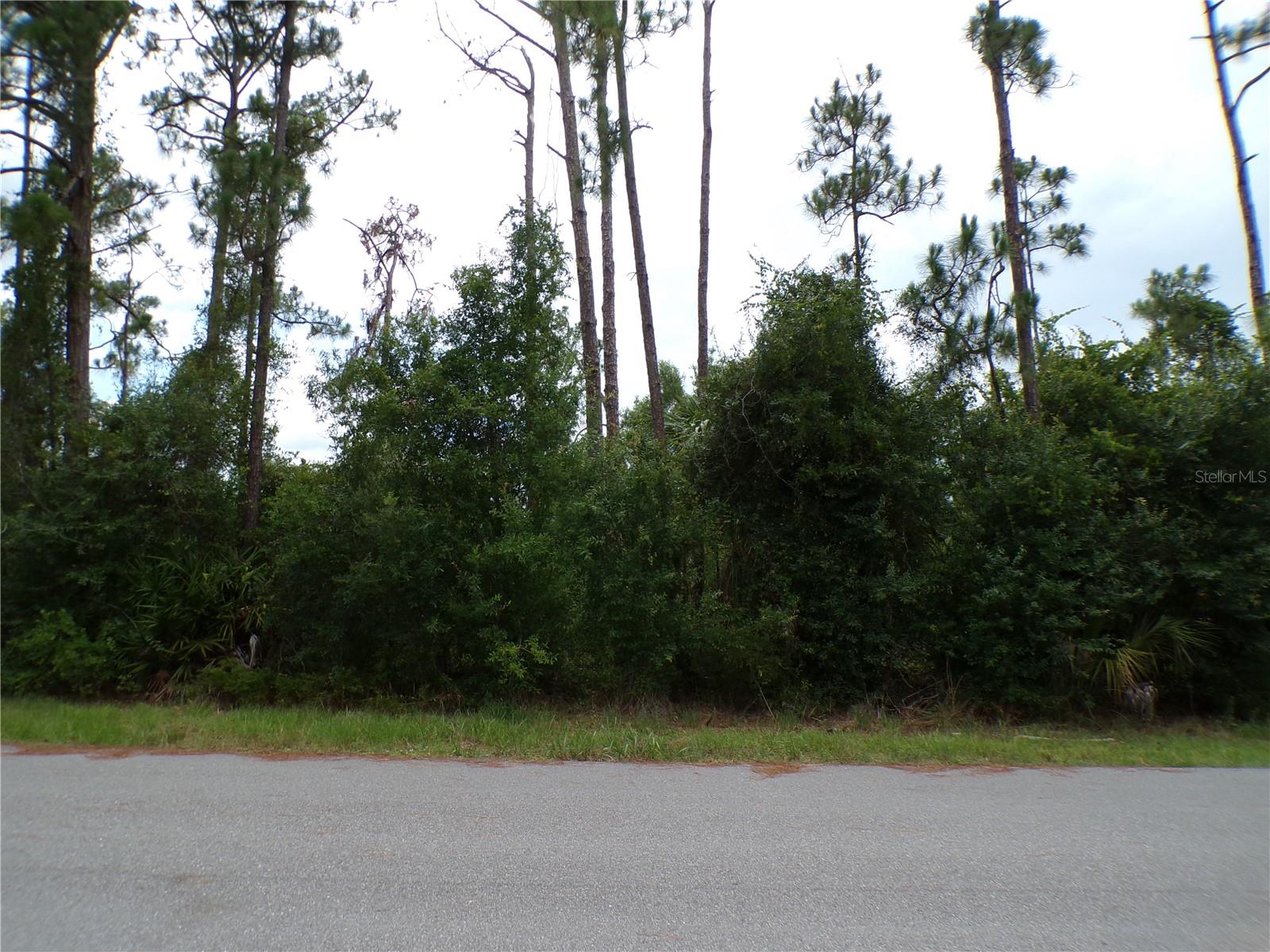 LUMMUS ST Property Photo 1