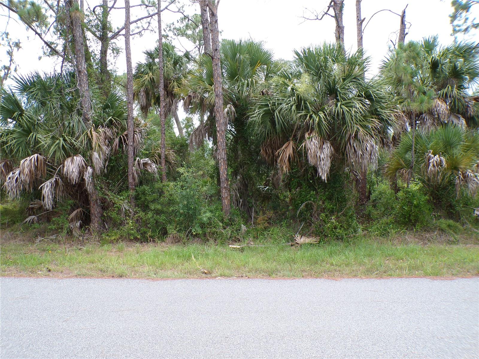 LUMMUS ST Property Photo 1
