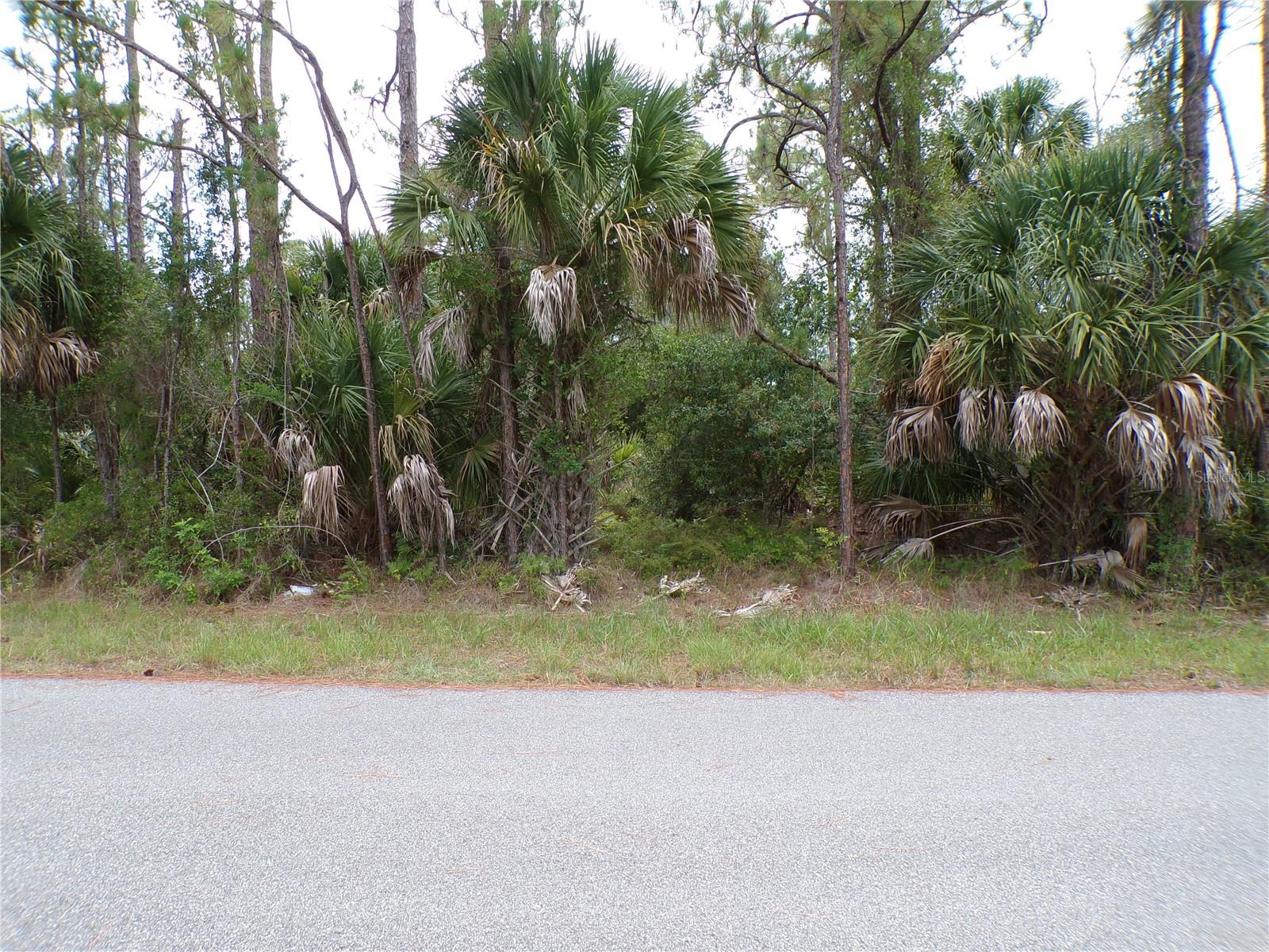 Lummus St Property Photo 2