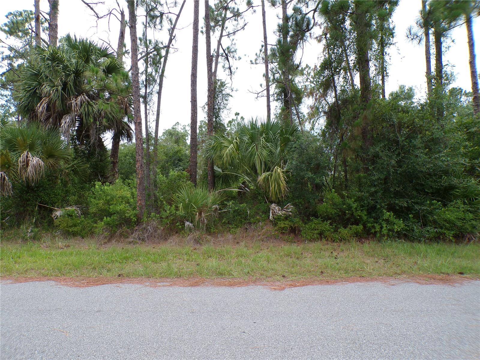 Lummus St Property Photo 5