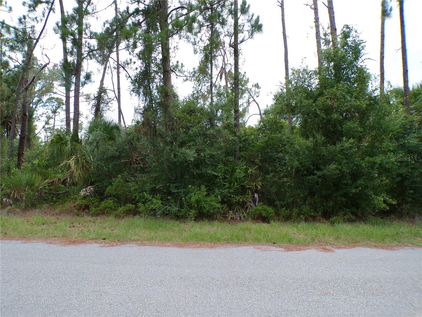Lummus St Property Photo 12