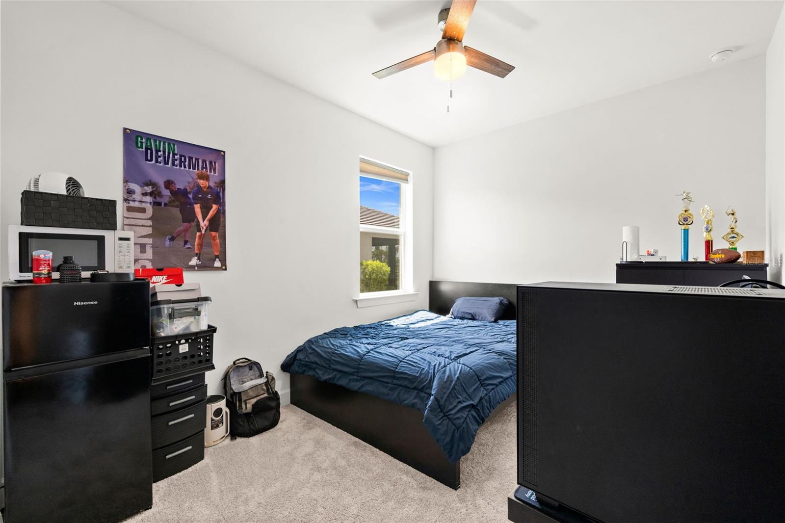 12461 Basalt Ln Property Photo 28