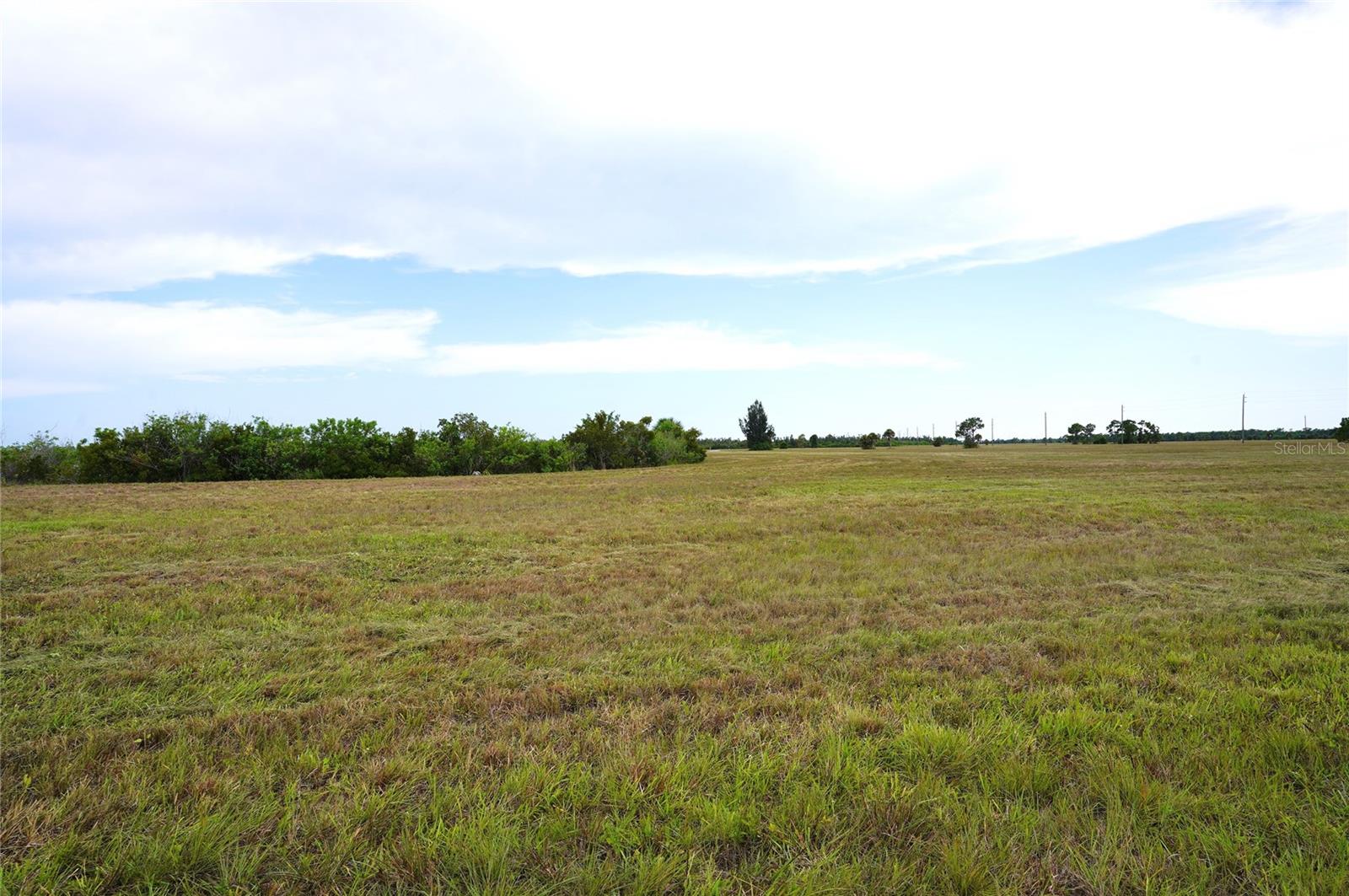 25 Thrush Dr Property Photo 4