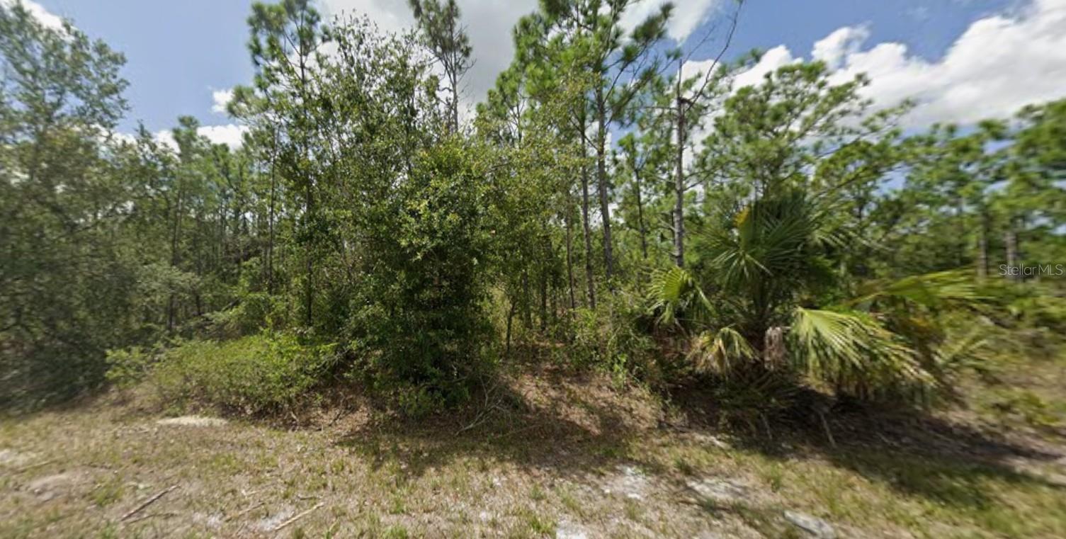 27421 MANDALAY DR Property Photo 1