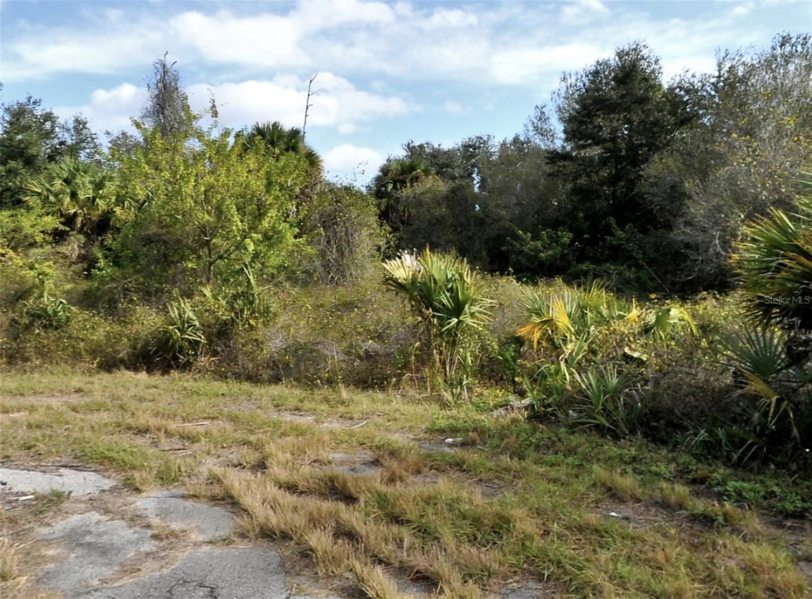 DADE CT Property Photo 1