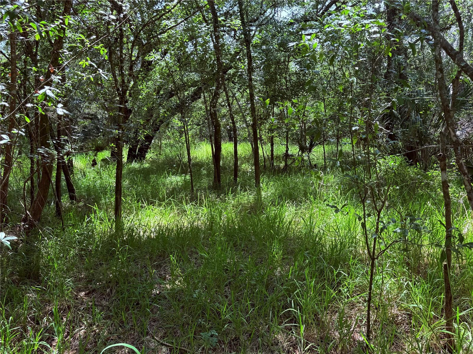 Ne River Ridge Ave Property Photo 1