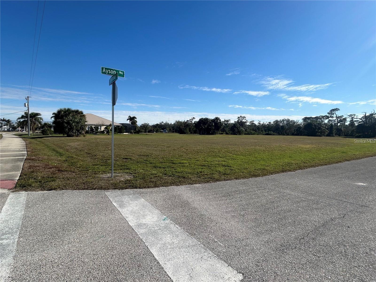 16447 Ayson Way Property Photo 1