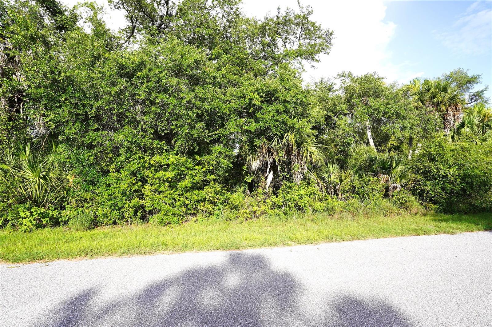 2140 Fernwood St Property Photo 5