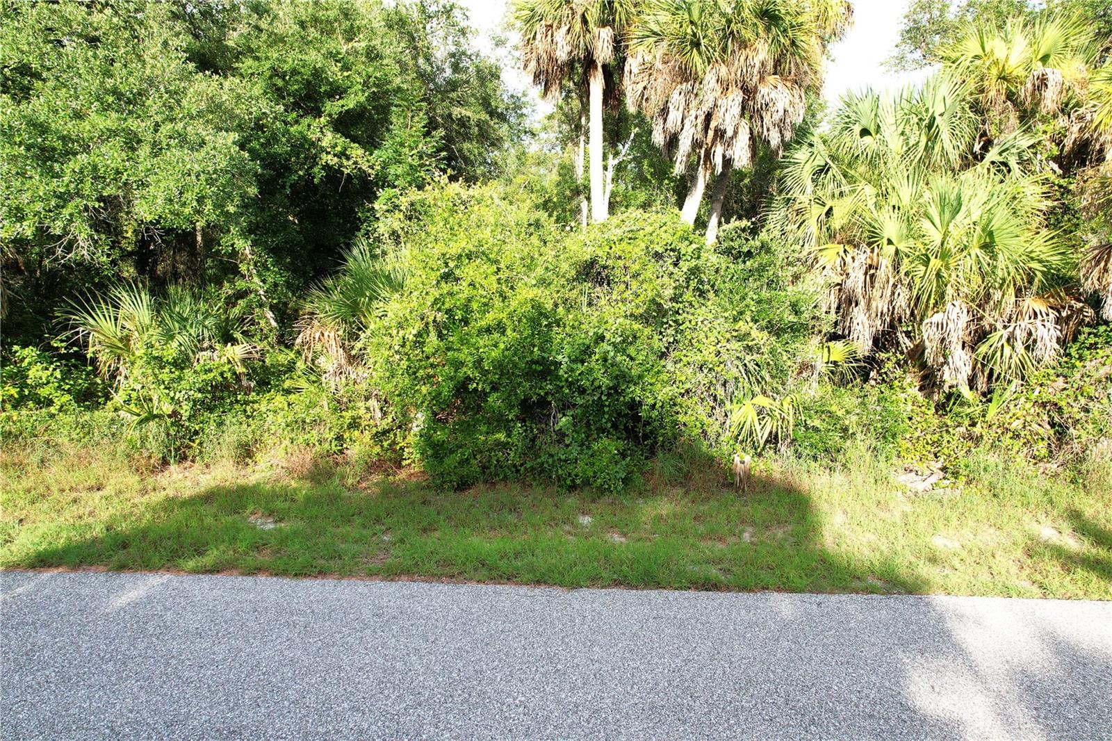 2140 Fernwood St Property Photo 8