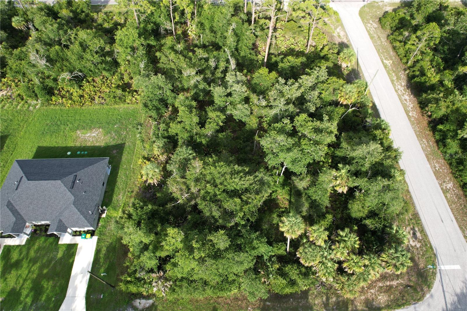 2140 Fernwood St Property Photo 10