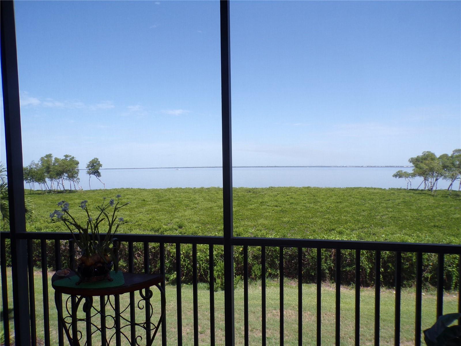 89 Vivante Blvd #205 Property Photo 2
