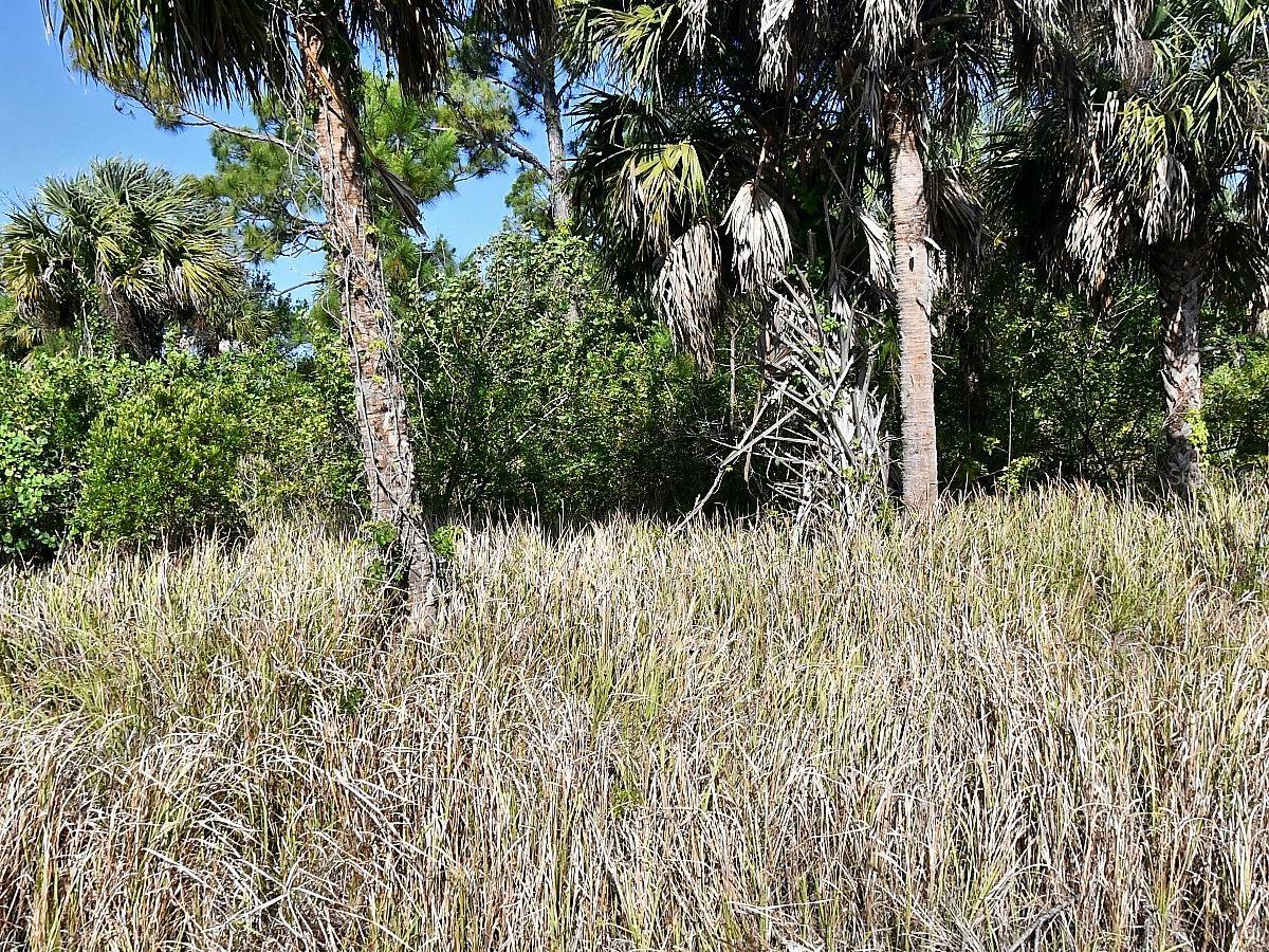 Dennis St Property Photo 3