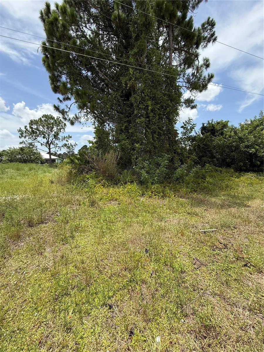 1112 HALLMARK AVE Property Photo 1